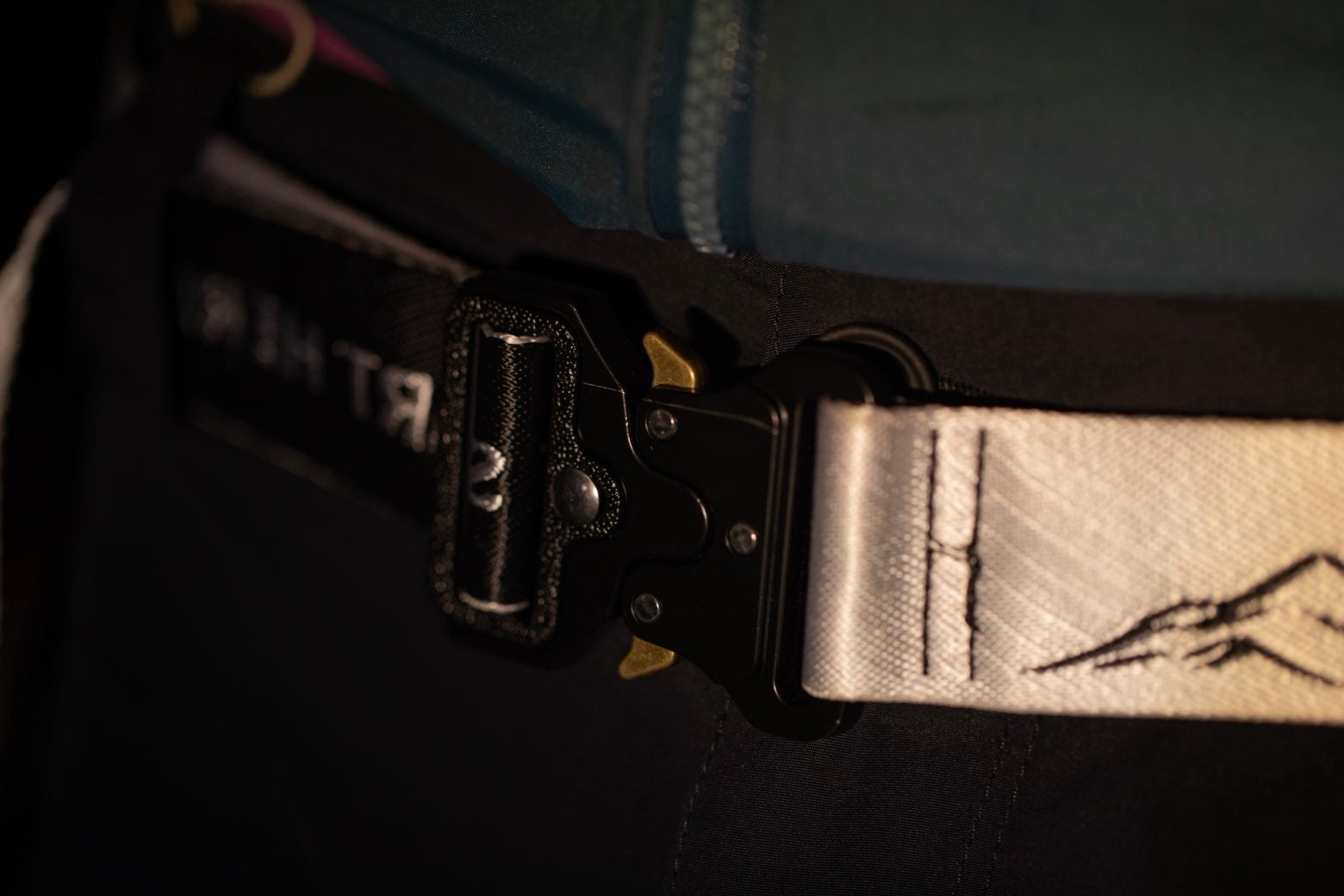 Ceinture D4WN — Blanc Arctique